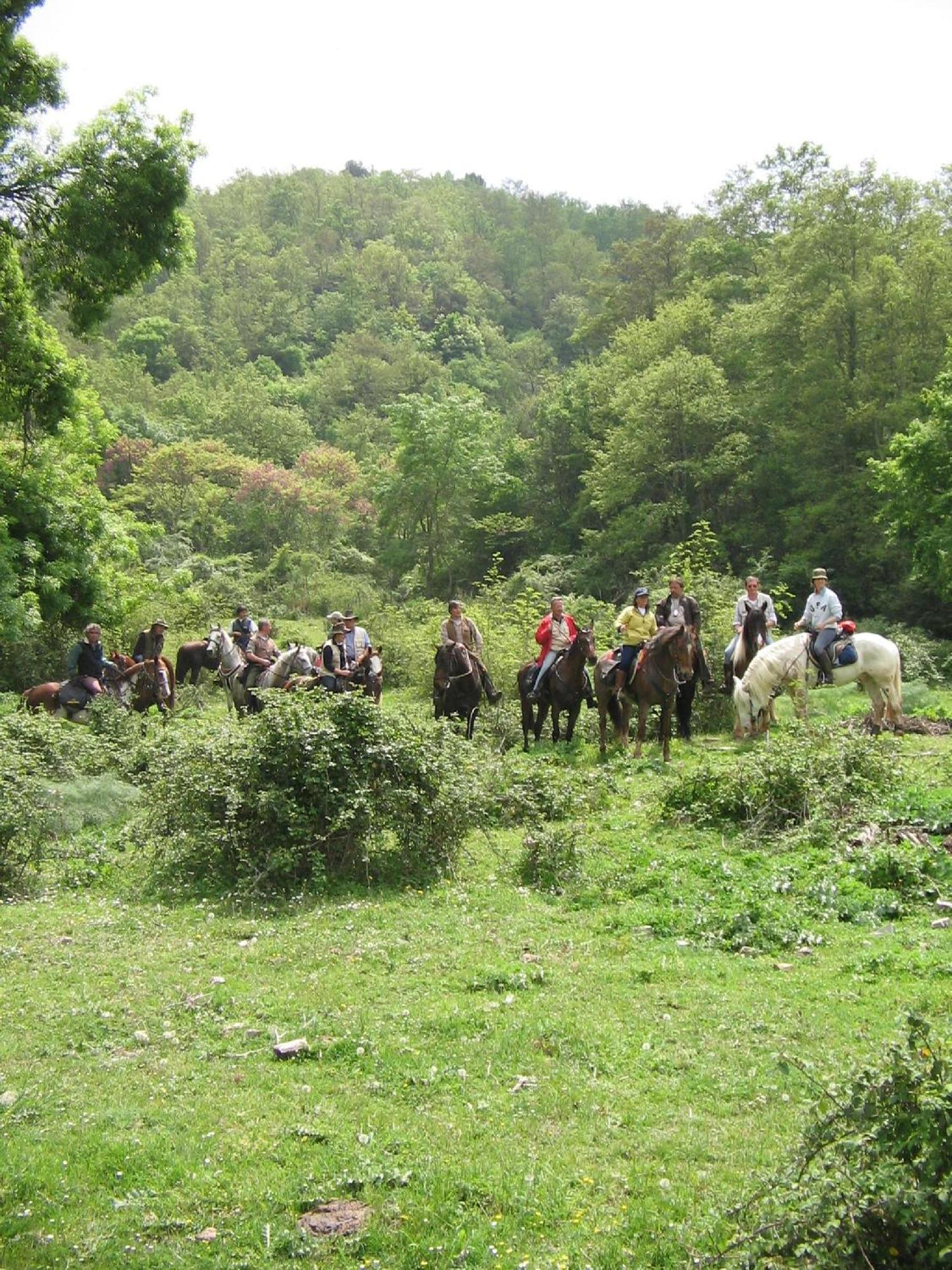 Agriturismo Casale Bonaparte Cellere ภายนอก รูปภาพ
