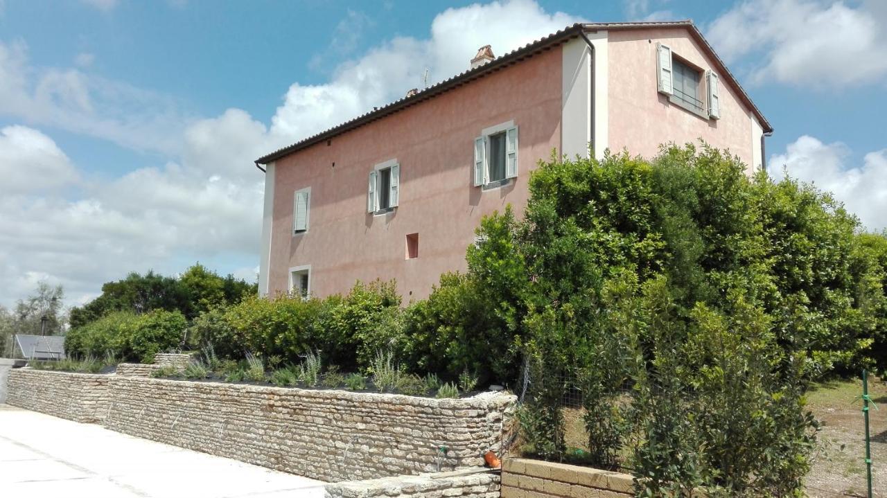 Agriturismo Casale Bonaparte Cellere ภายนอก รูปภาพ