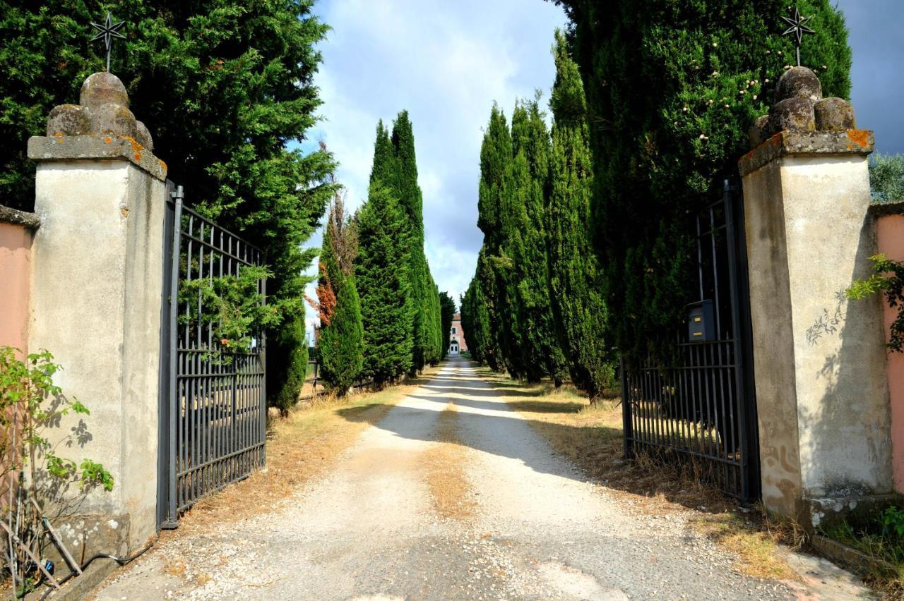 Agriturismo Casale Bonaparte Cellere ภายนอก รูปภาพ
